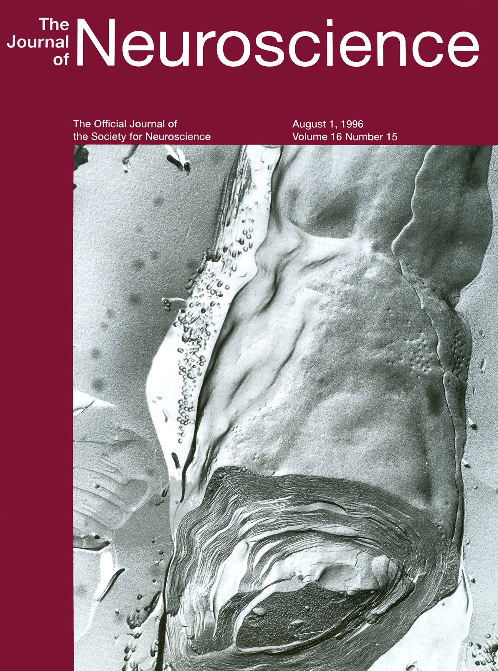 Journal of Neuroscience August 1, 1996 Cover